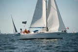 tigger 2828c whyw22 sun 800_2089yi